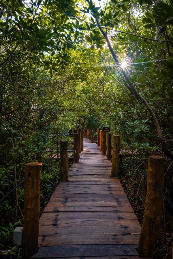 Manglex Eco Hotel Tulum Ngoại thất bức ảnh