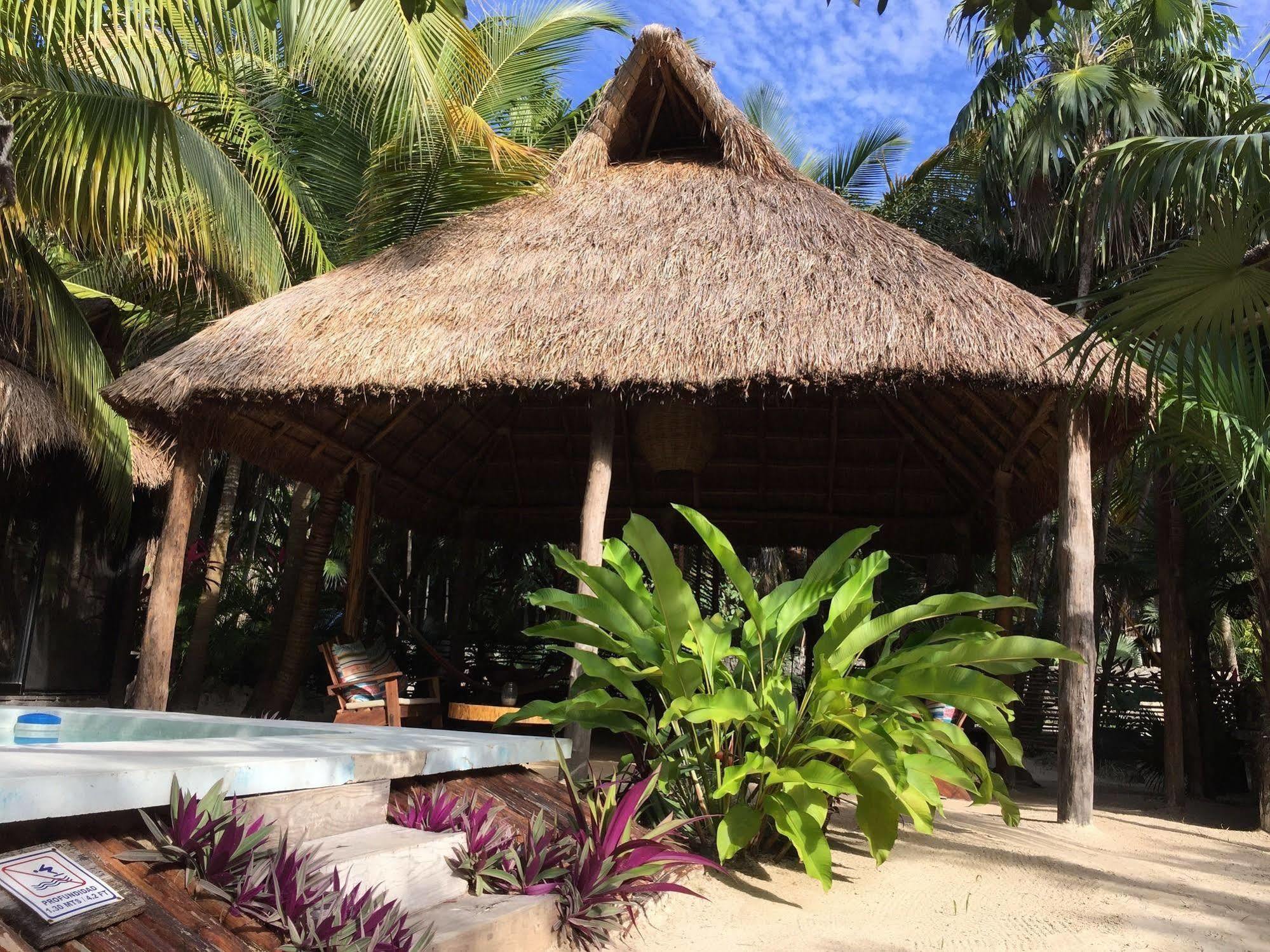 Manglex Eco Hotel Tulum Ngoại thất bức ảnh