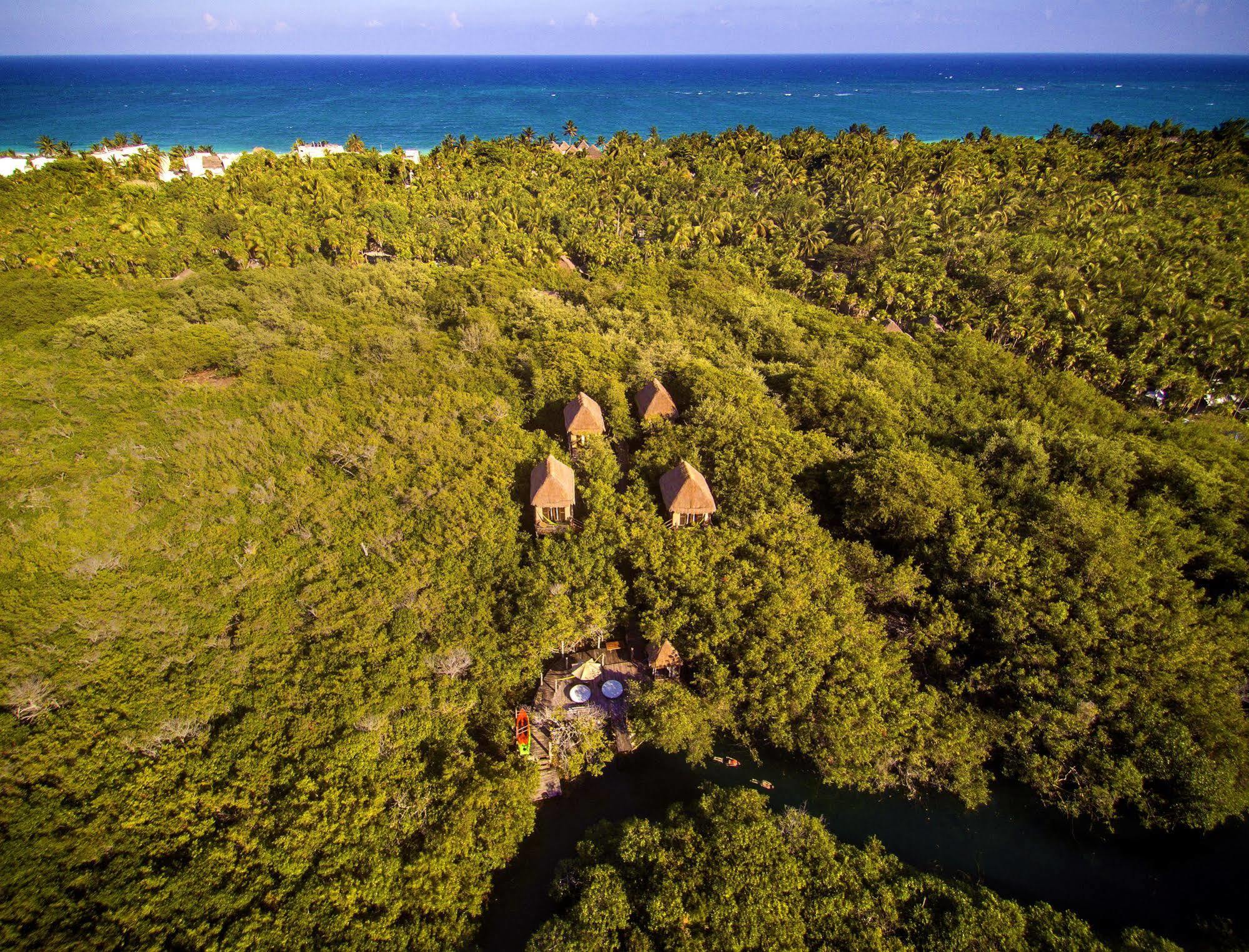Manglex Eco Hotel Tulum Ngoại thất bức ảnh
