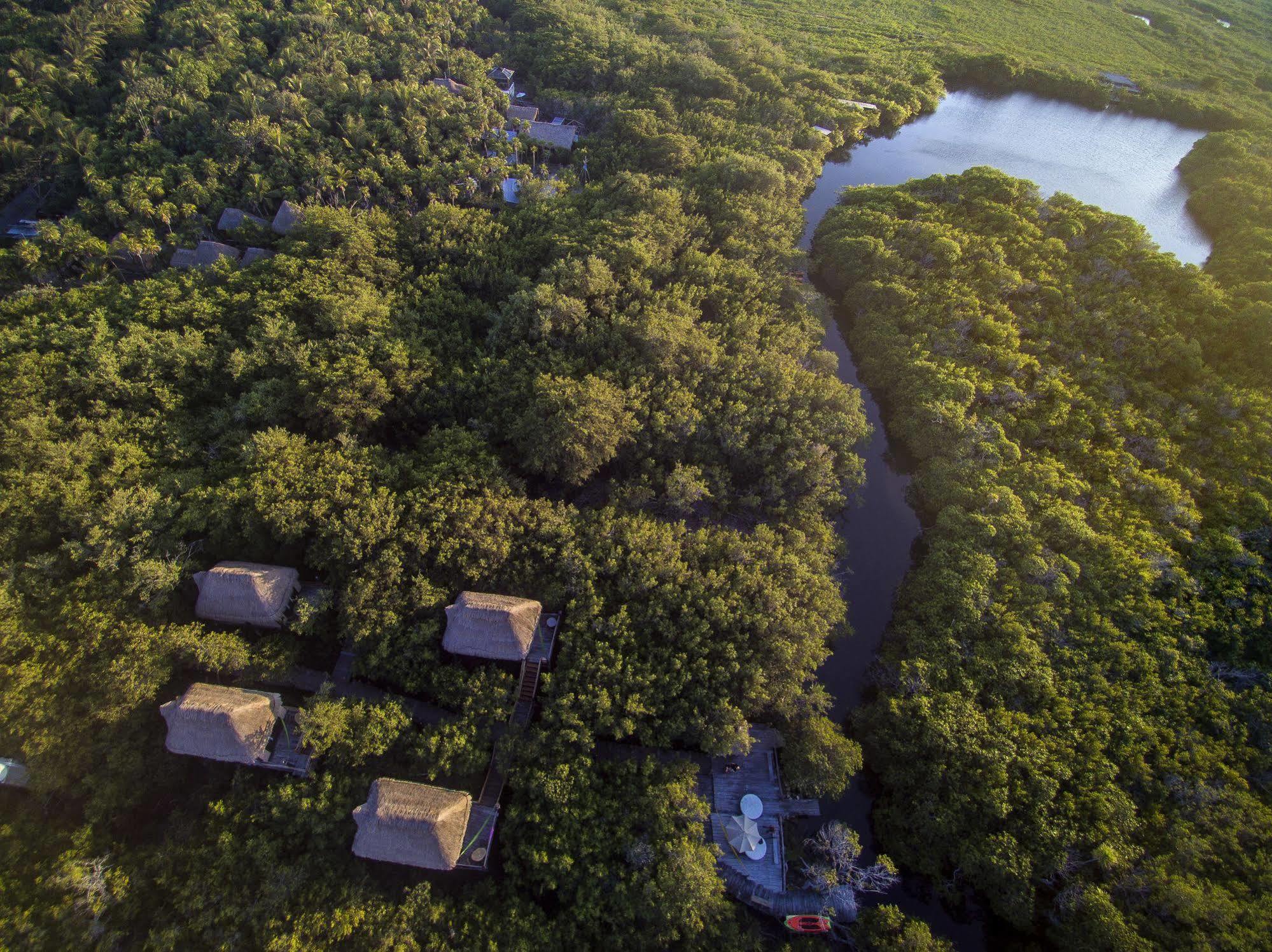 Manglex Eco Hotel Tulum Ngoại thất bức ảnh