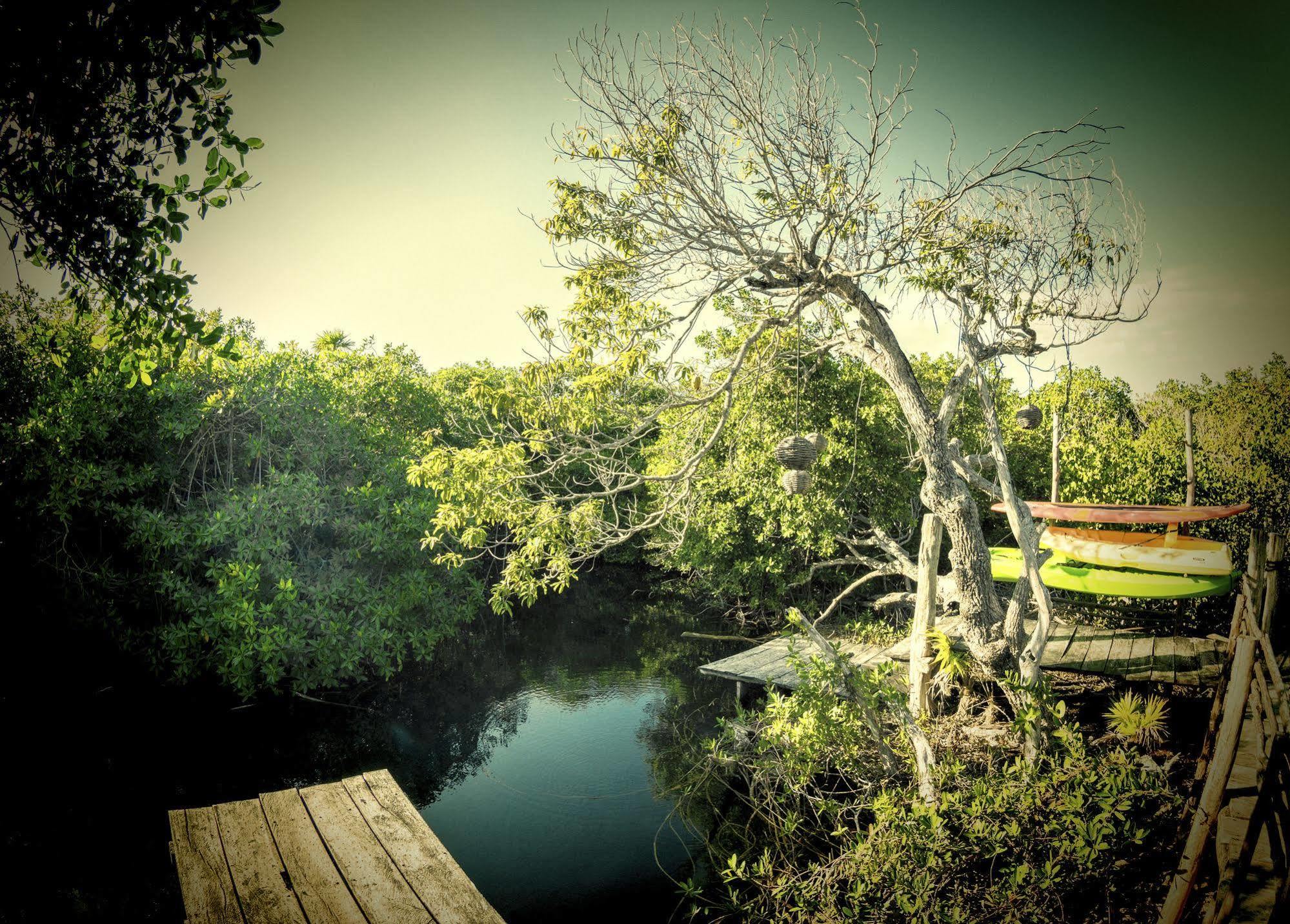 Manglex Eco Hotel Tulum Ngoại thất bức ảnh