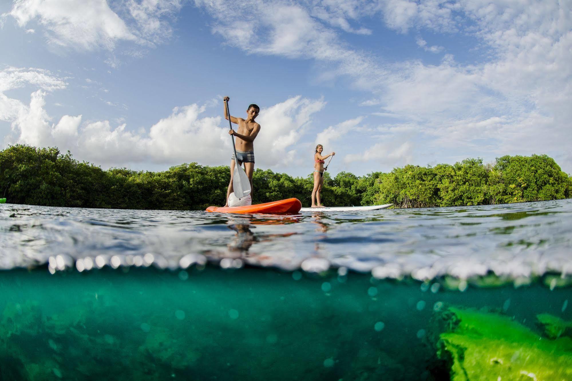Manglex Eco Hotel Tulum Ngoại thất bức ảnh